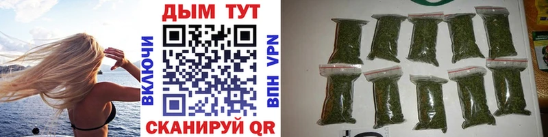 Купить где  Омск  Марихуана SATIVA & INDICA 